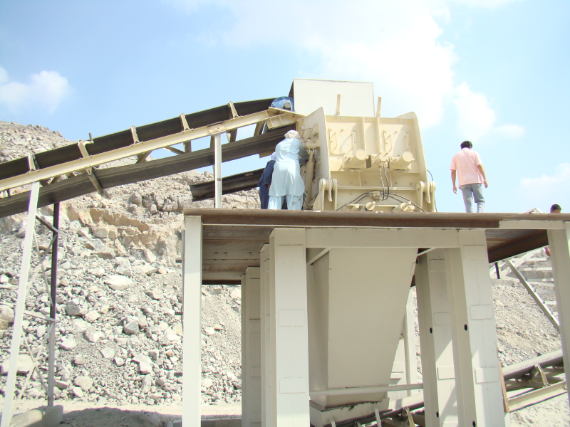 為什么要使用反擊式破碎機?有什么優勢? 1 为什么要使用反击式破碎机?有什么优势? - 上海丁博重工机械有限公司(images 1)